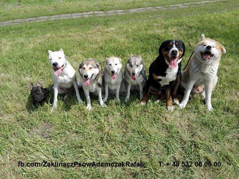 Atlanta - drugi dzień socjalizacji!
